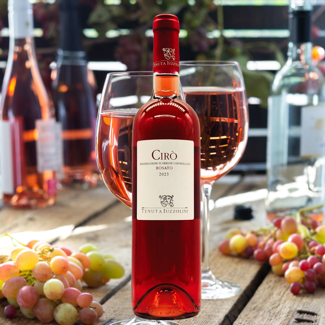 Cirò Rosé 2023 von Tenuta Iuzzolini – italienischer Roséwein aus Kalabrien mit 13 % Vol., serviert mit Trauben und Weingläsern auf einem Holztisch