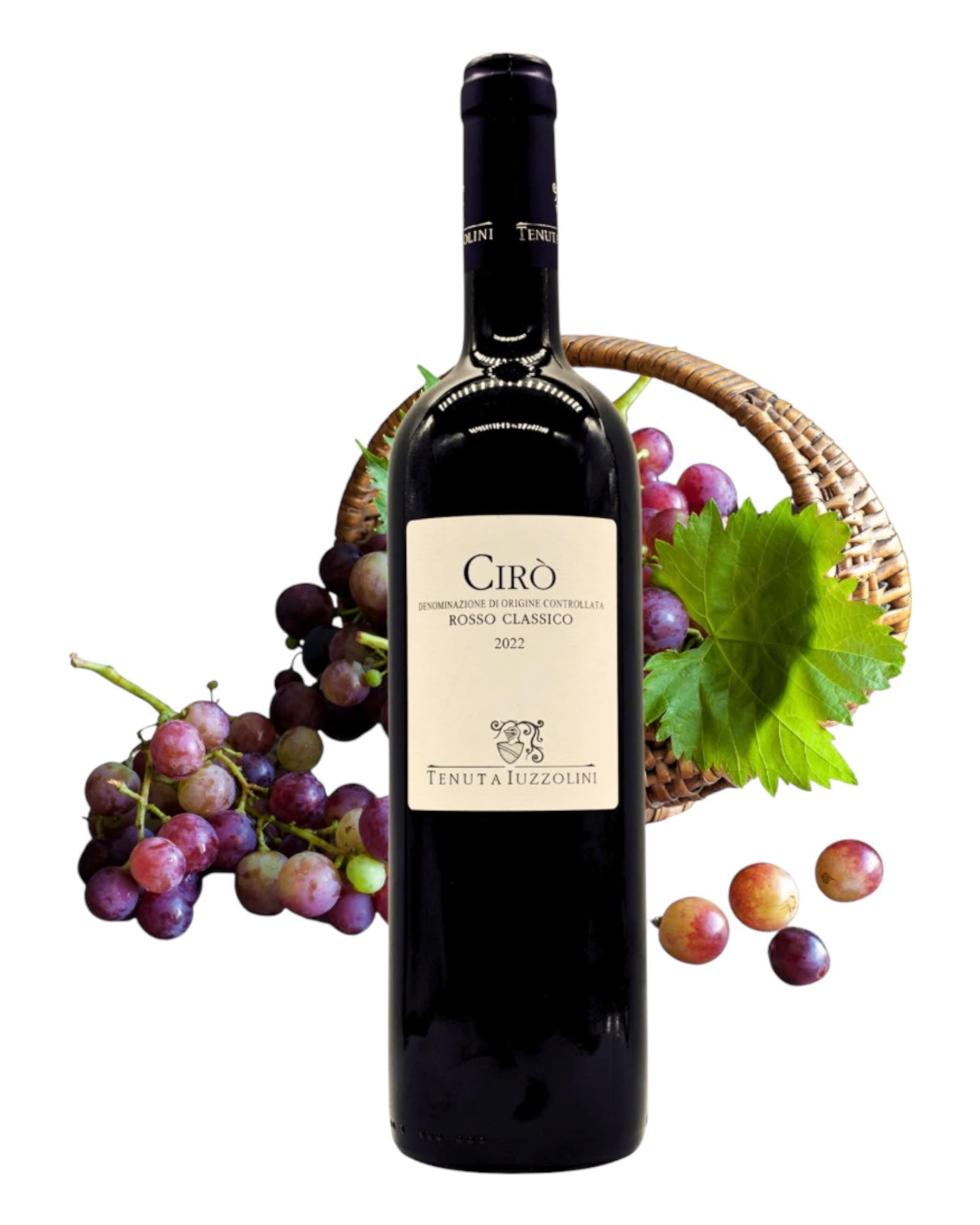 Cirò Rosso Classico 2022 kaufen Tenuta Iuzzolini
