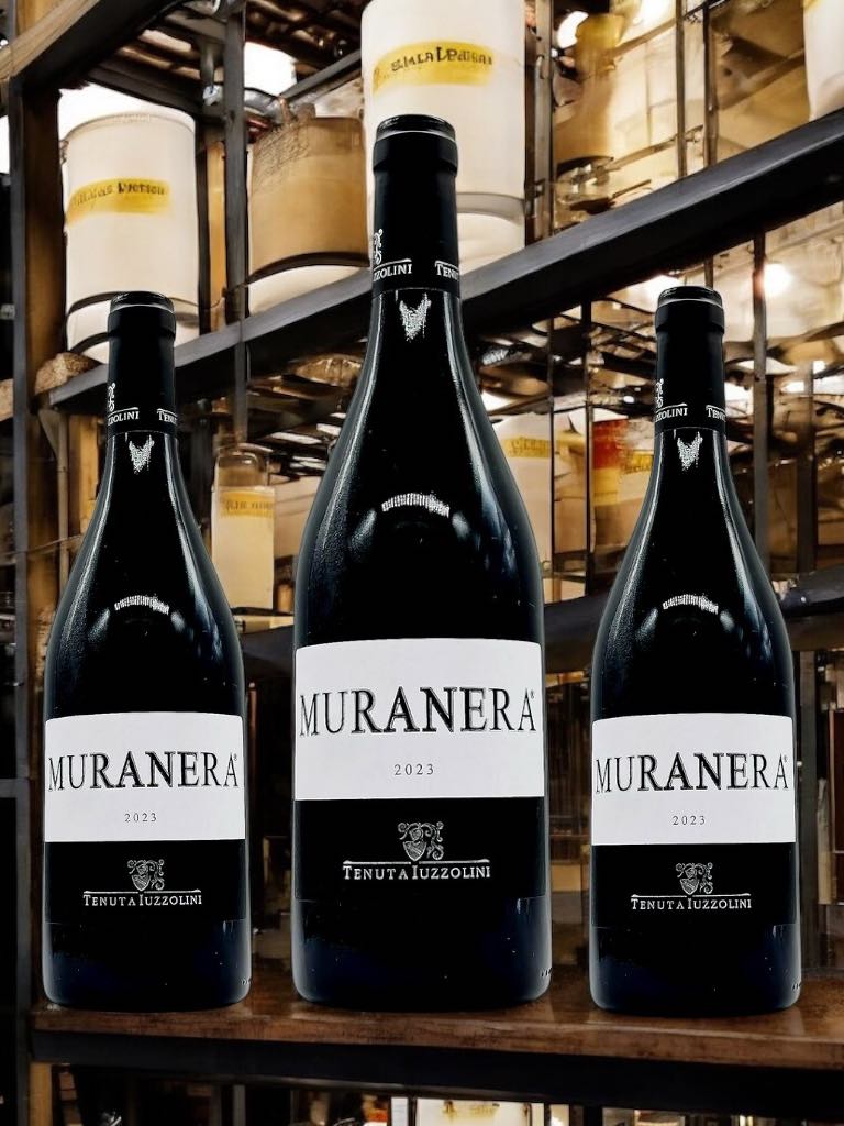 Drei Flaschen Muranera Rotwein 2023 von Tenuta Iuzzolini im Weinkeller – italienischer Rotwein auf Holzregalen mit authentischem Ambiente