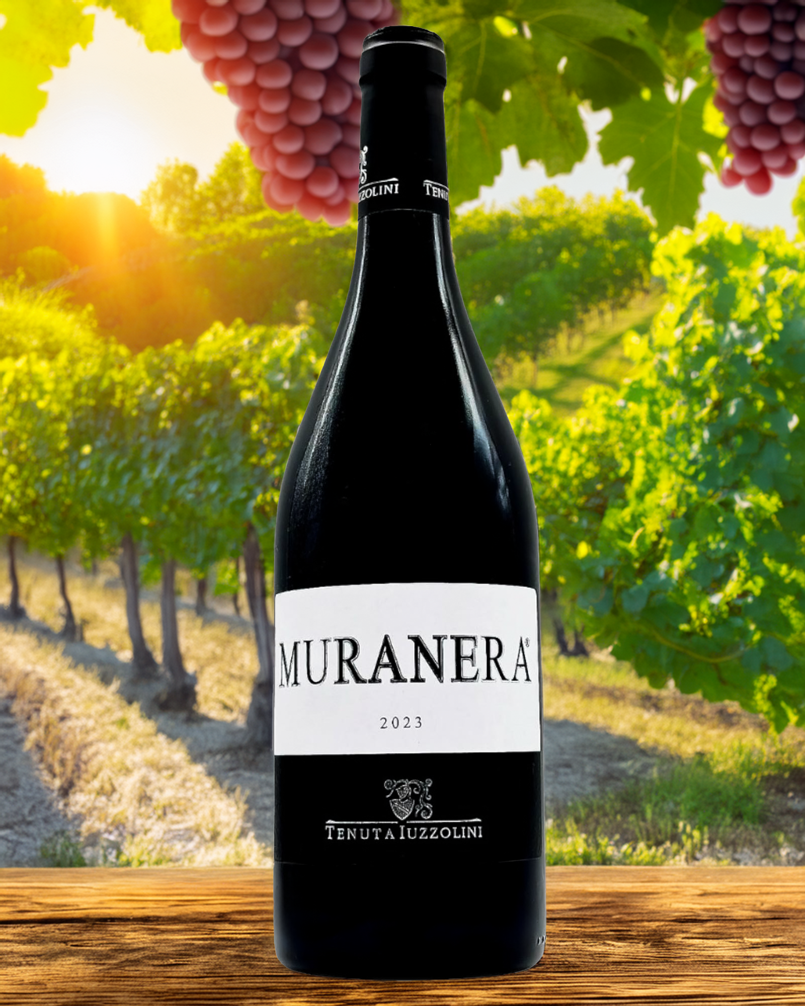 Flasche Muranera Rotwein 2023 vor einem rustikalen Weinberg mit roten Trauben und Sonnenuntergang – italienischer Qualitätswein auf Holztisch