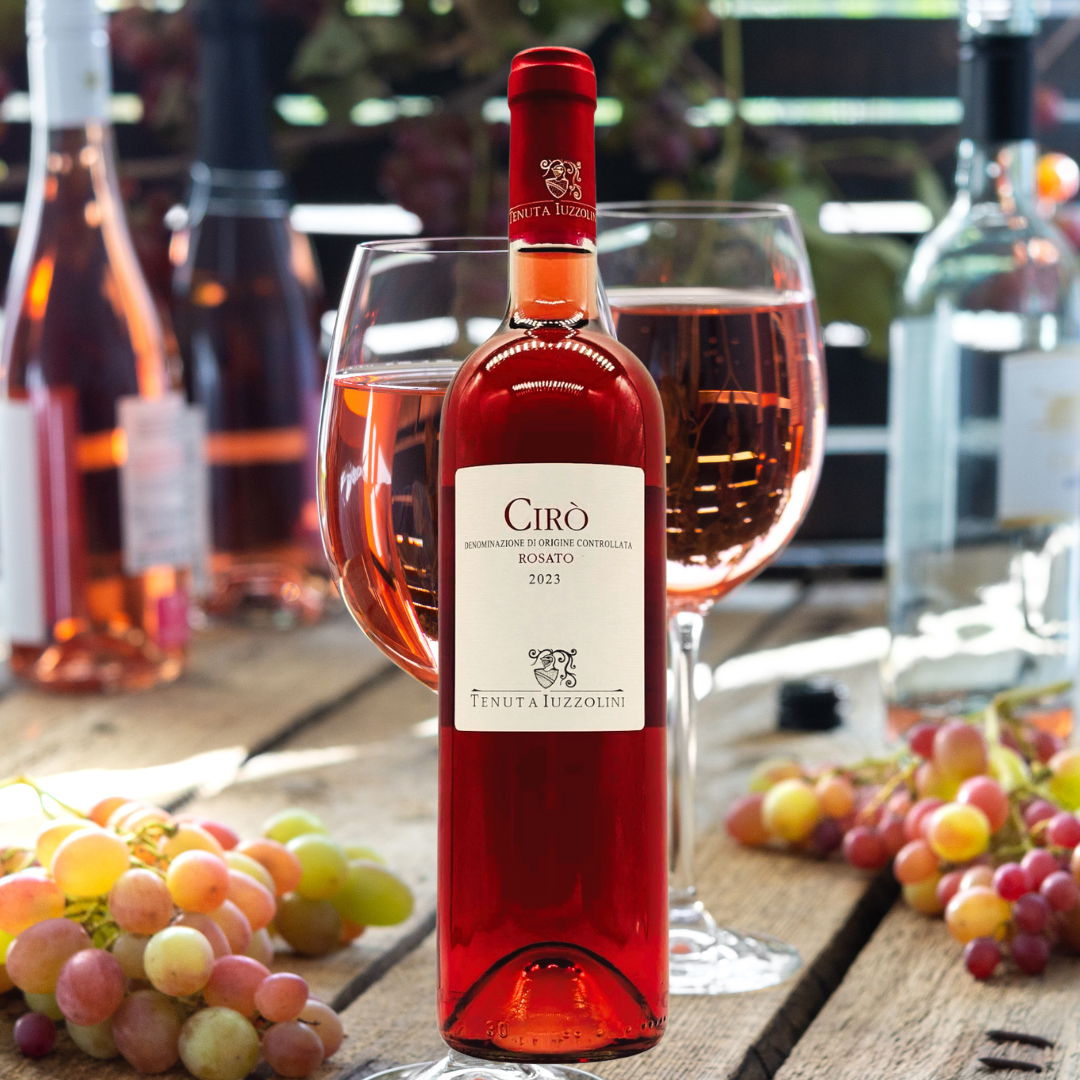 Cirò Rose 2023 – Fresh rosé wine from Calabria, 750 ml