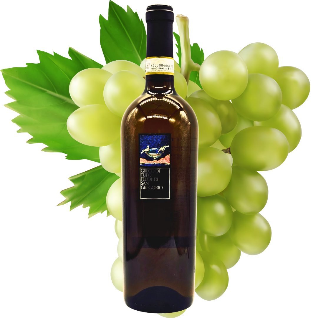 Greco di Tufo Feudi di San Gregorio 2023