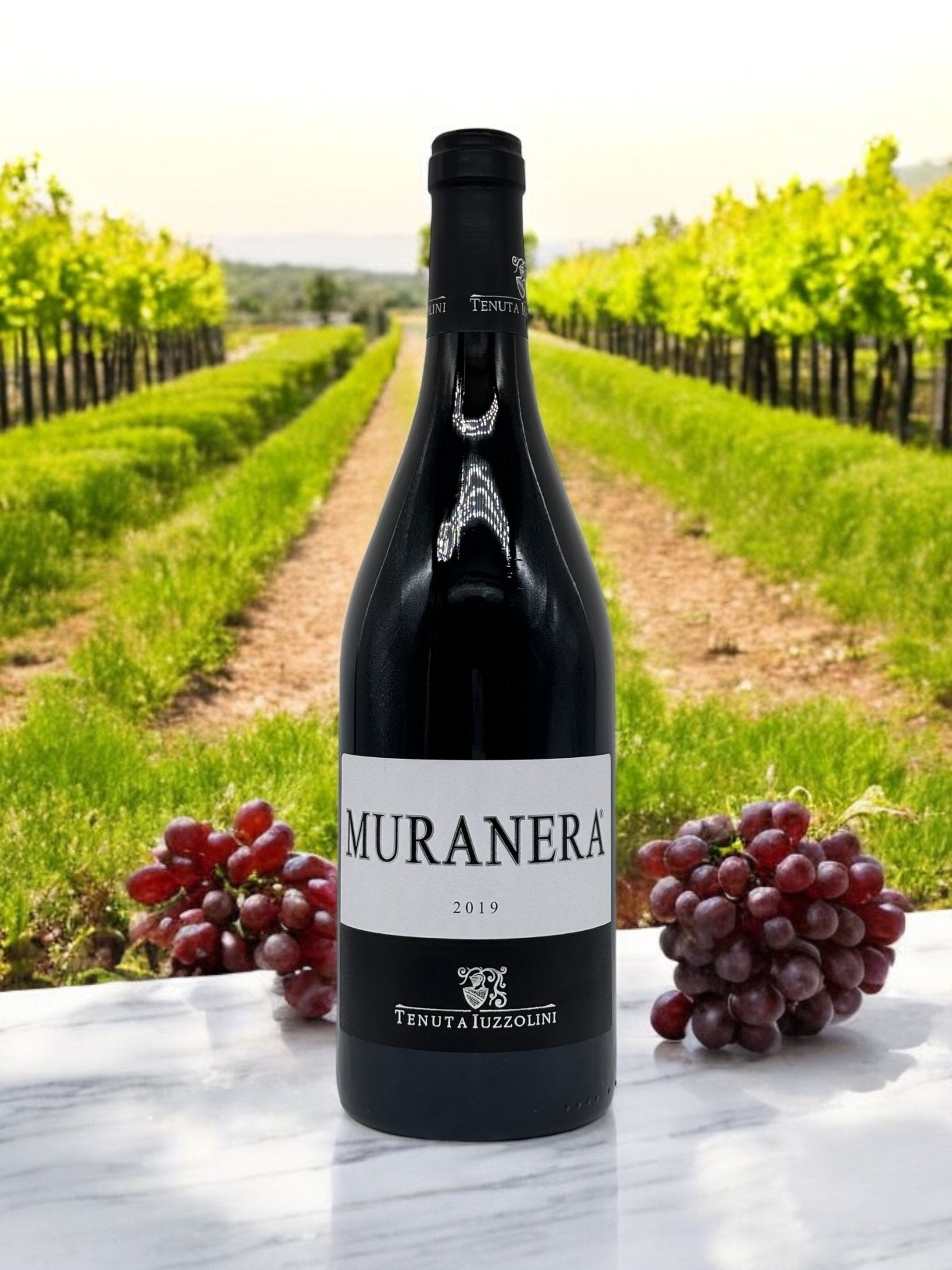 2019 Muranera – Eleganter Rotwein aus Kalabrien, 750 ml bella italia store wein Bella Italia store