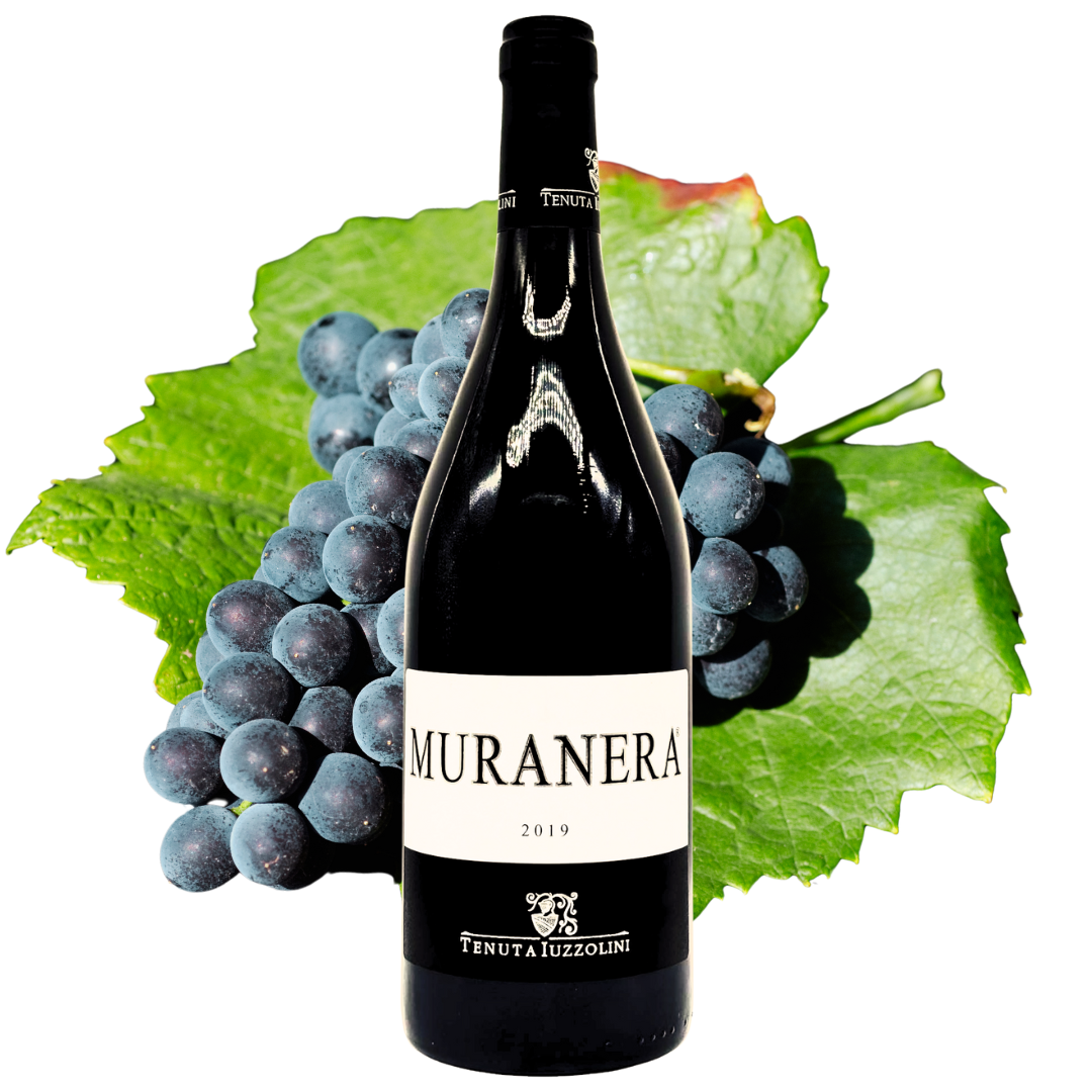 2019 Muranera – Elegant red wine from Calabria, 750 ml