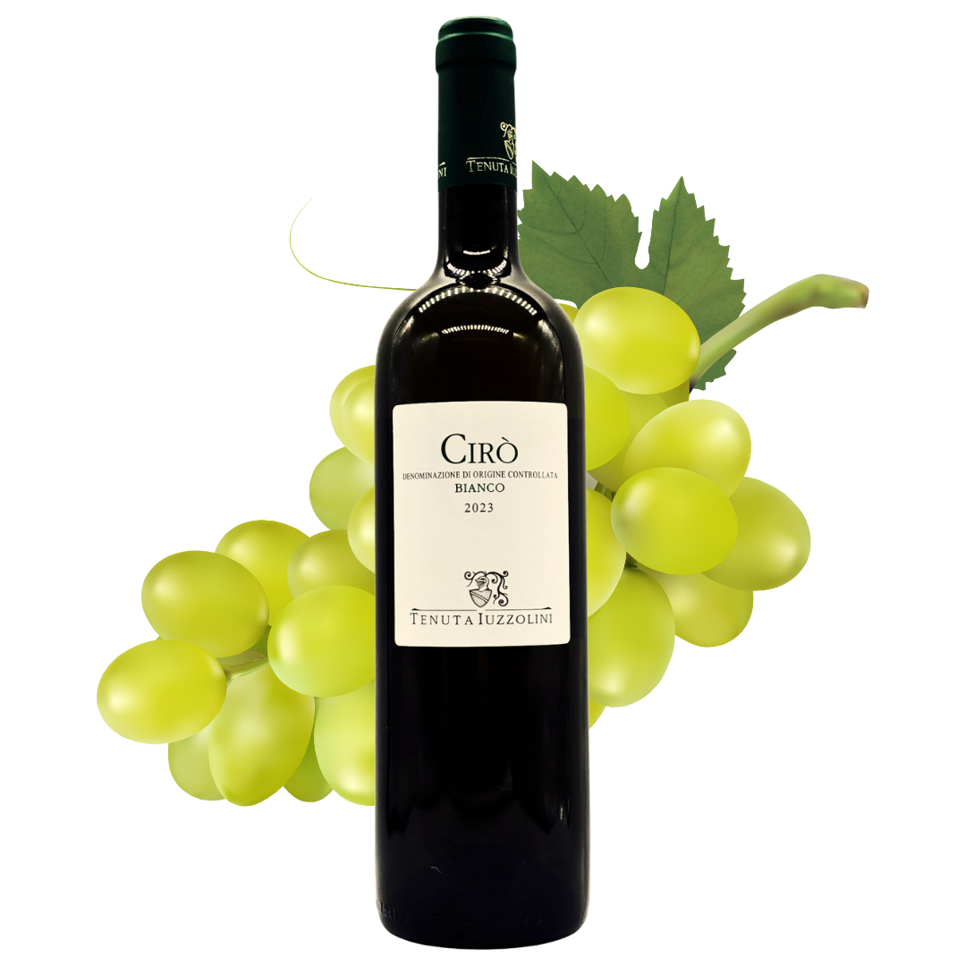 Cirò Greco Bianco 2023 – 750 ml, italienischer Weißwein mit grünen Trauben und rustikalem Charme