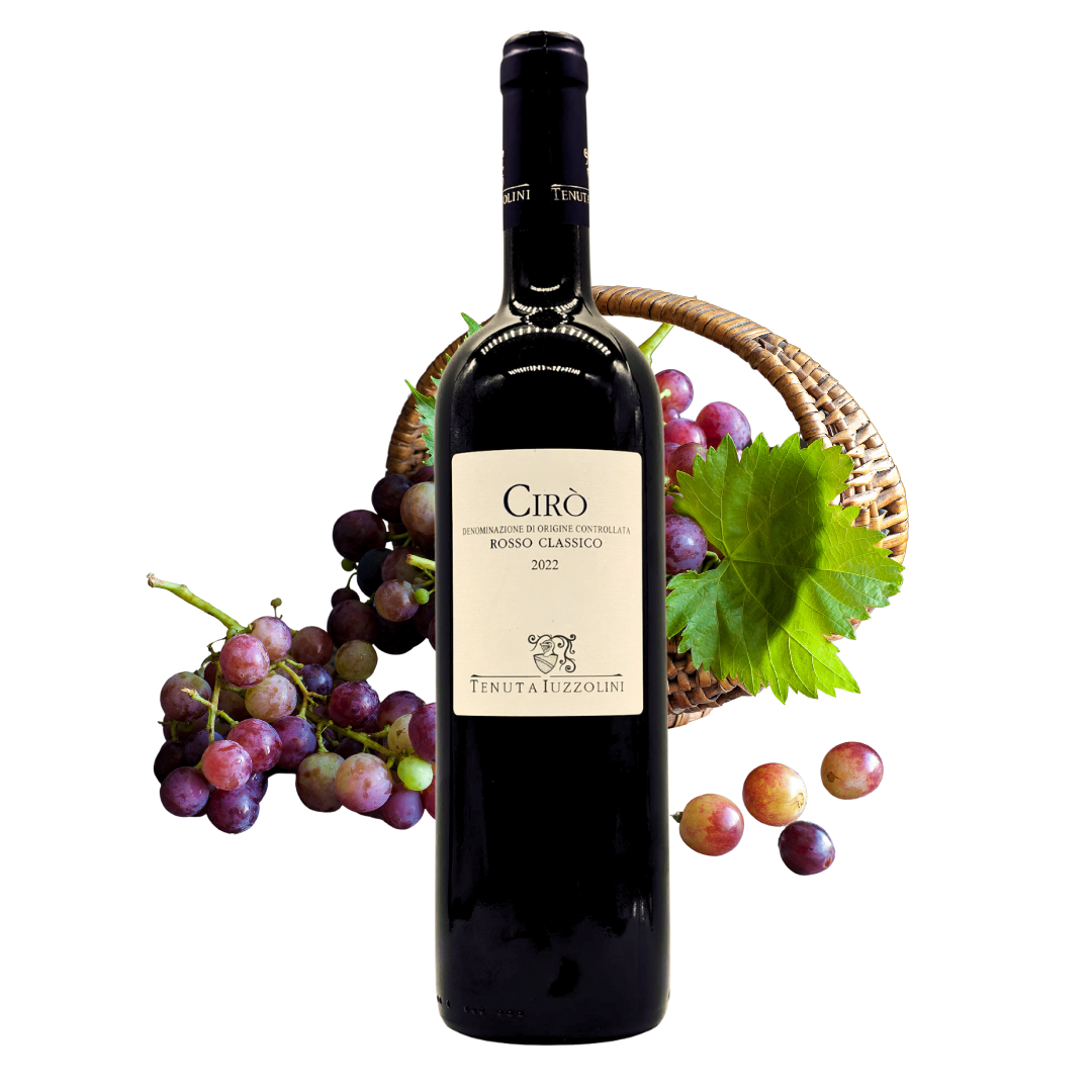 Cirò Rosso Classico 2023 – Young and dynamic red wine from Calabria, 750 ml