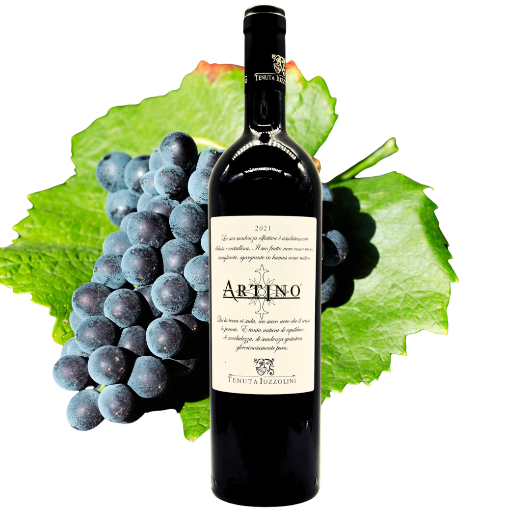 Artino Rosso 2022 – Characterful red wine from Calabria, 750 ml