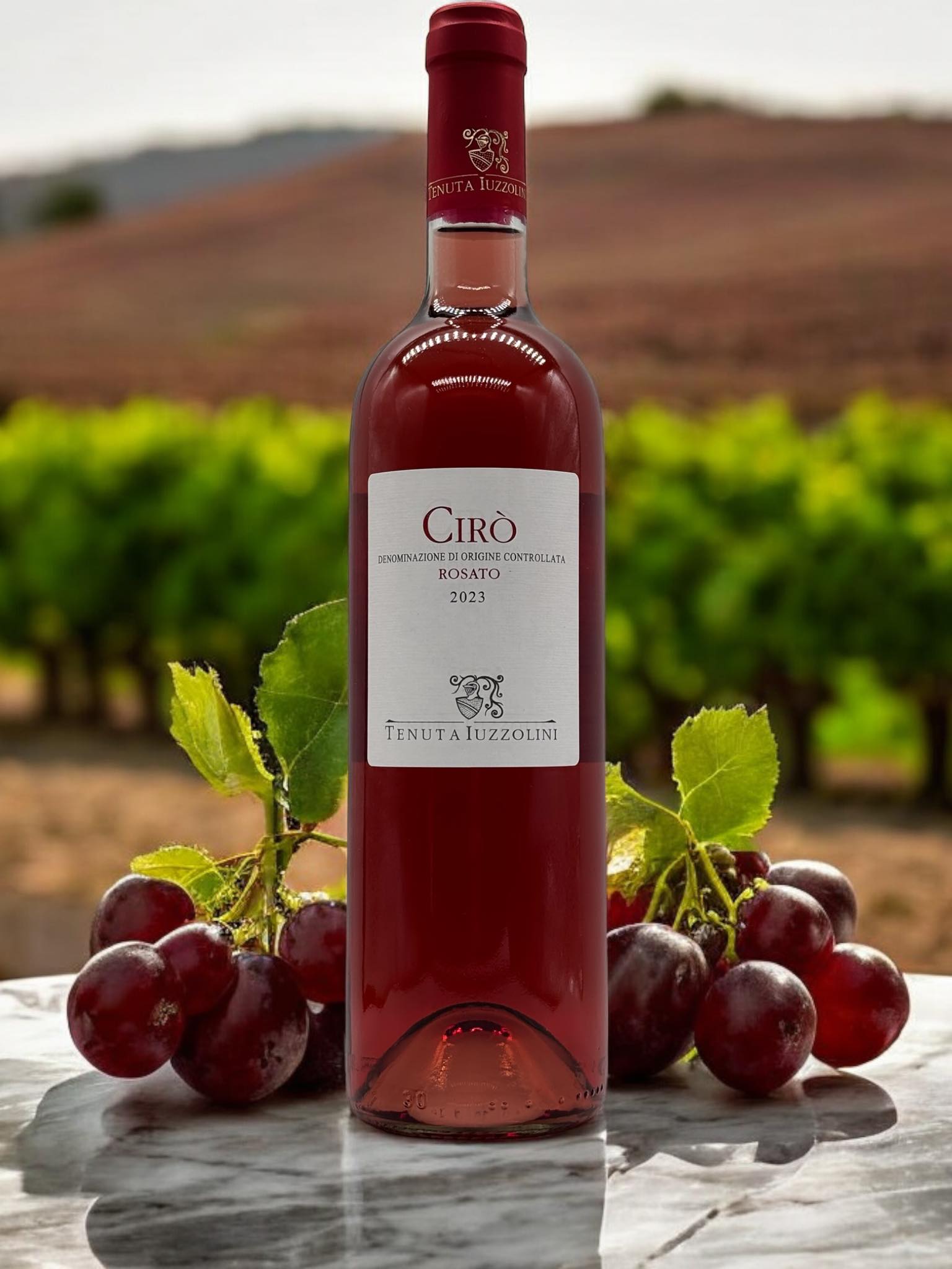 Cirò Rose 2023