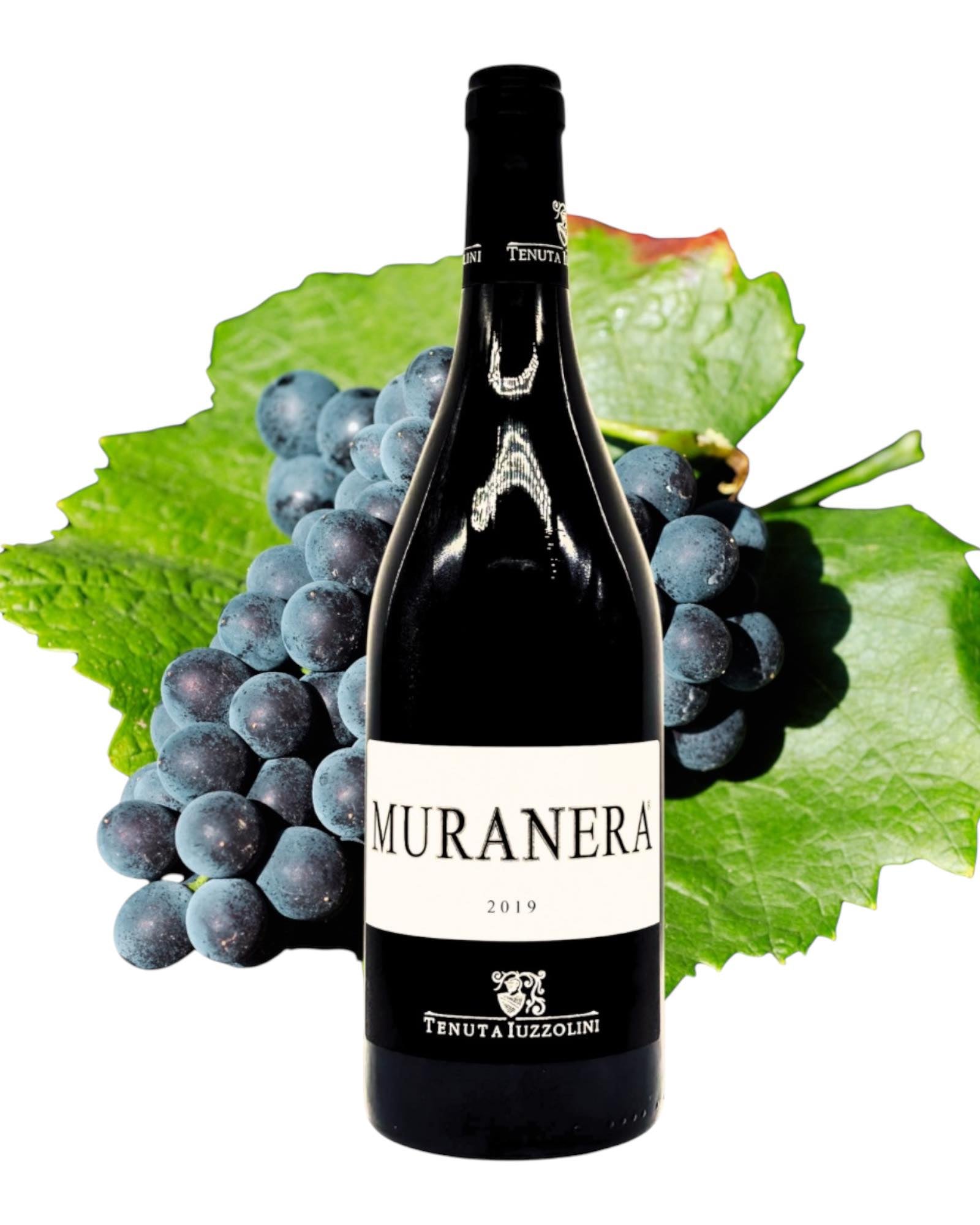 2019 Muranera Rotwein