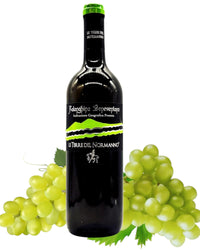 Beneventano Falanghina Weißwein 750 ml – Eleganter italienischer Weißwein mit fruchtigem Aroma und harmonischem Geschmack.
