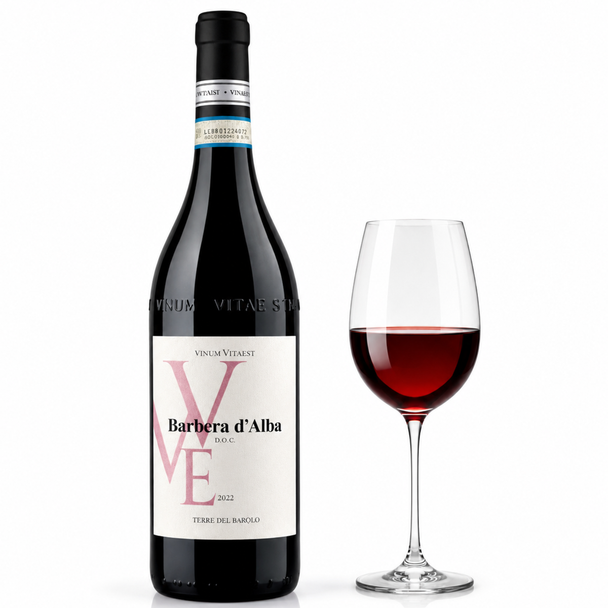 Barbera d'Alba DOC 2022 kaufen