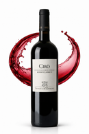 Italienischer Rotwein Cirò Rosso Classico Tenuta Iuzzolini aus Kalabrien, elegante Weinflasche mit rotem Weinsplash Studioaufnahme