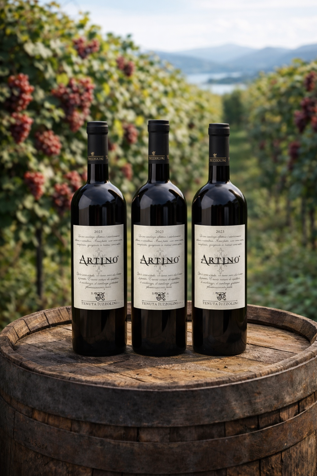 Artino Rotwein 2023 von Tenuta Iuzzolini aus Kalabrien drei Flaschen auf Weinfass im italienischen Weinberg