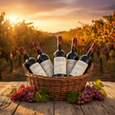 Principe Spinelli italienischer Rotwein aus Kalabrien – eleganter Rotwein mit Trauben im Weinberg.