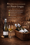 Pinot Grigio Weißwein mit Glas und Flaschenkorb in mediterraner Atmosphär