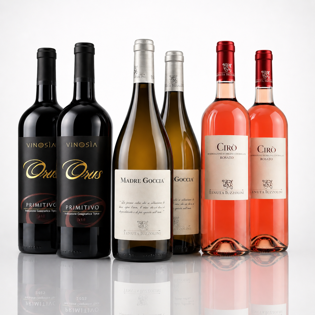 Italienisches Weinpaket – Rot, Weiß & Rosé 6er Set aus Italien 🇮🇹