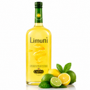     Limunì Caffo Limonenlikör aus Kalabrien mit frischen Zitronen und Limetten – italienischer Zitronenlikör auf weißem Hintergrund mit Spiegelung