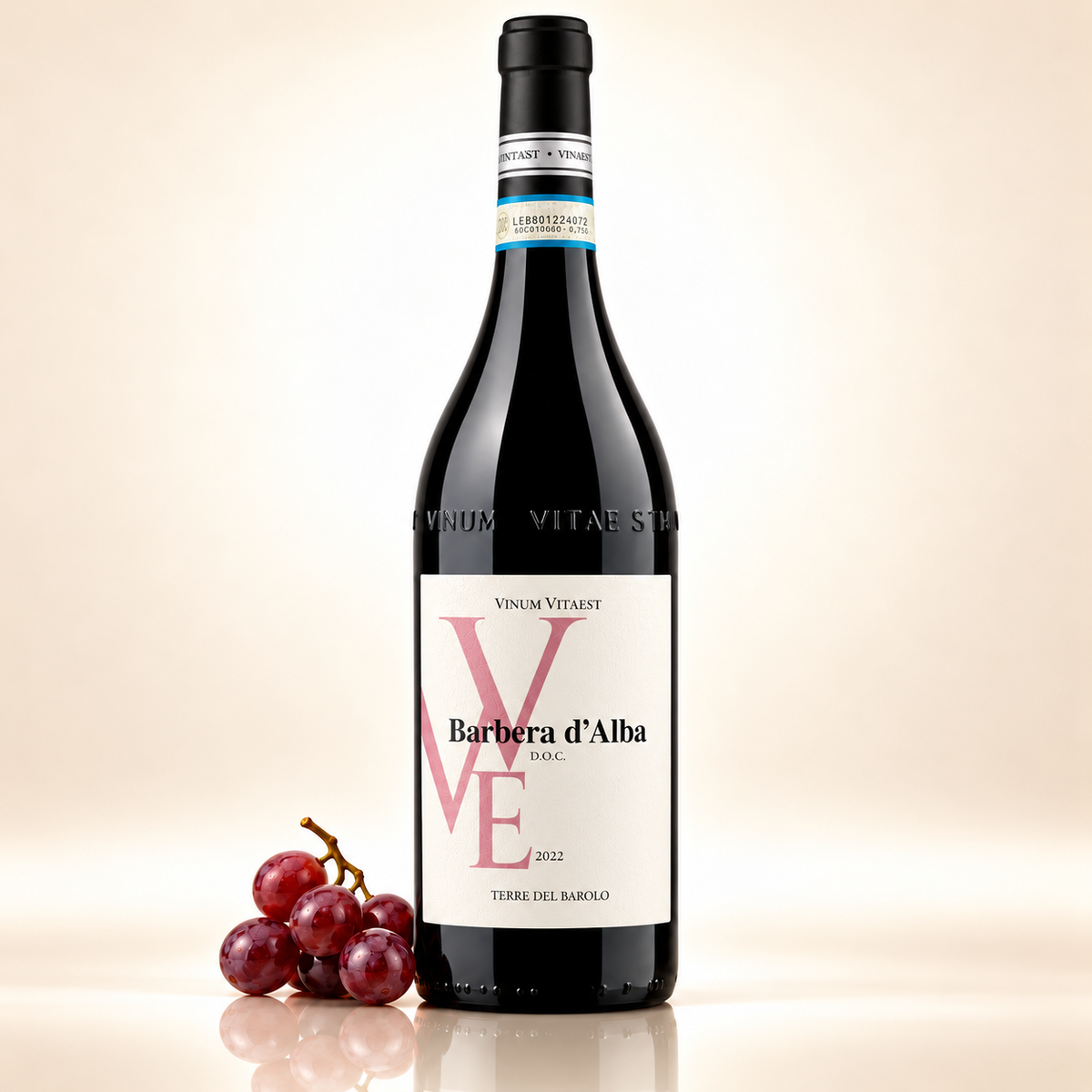 Barbera d'Alba DOC 2022 kaufen – 750 ml