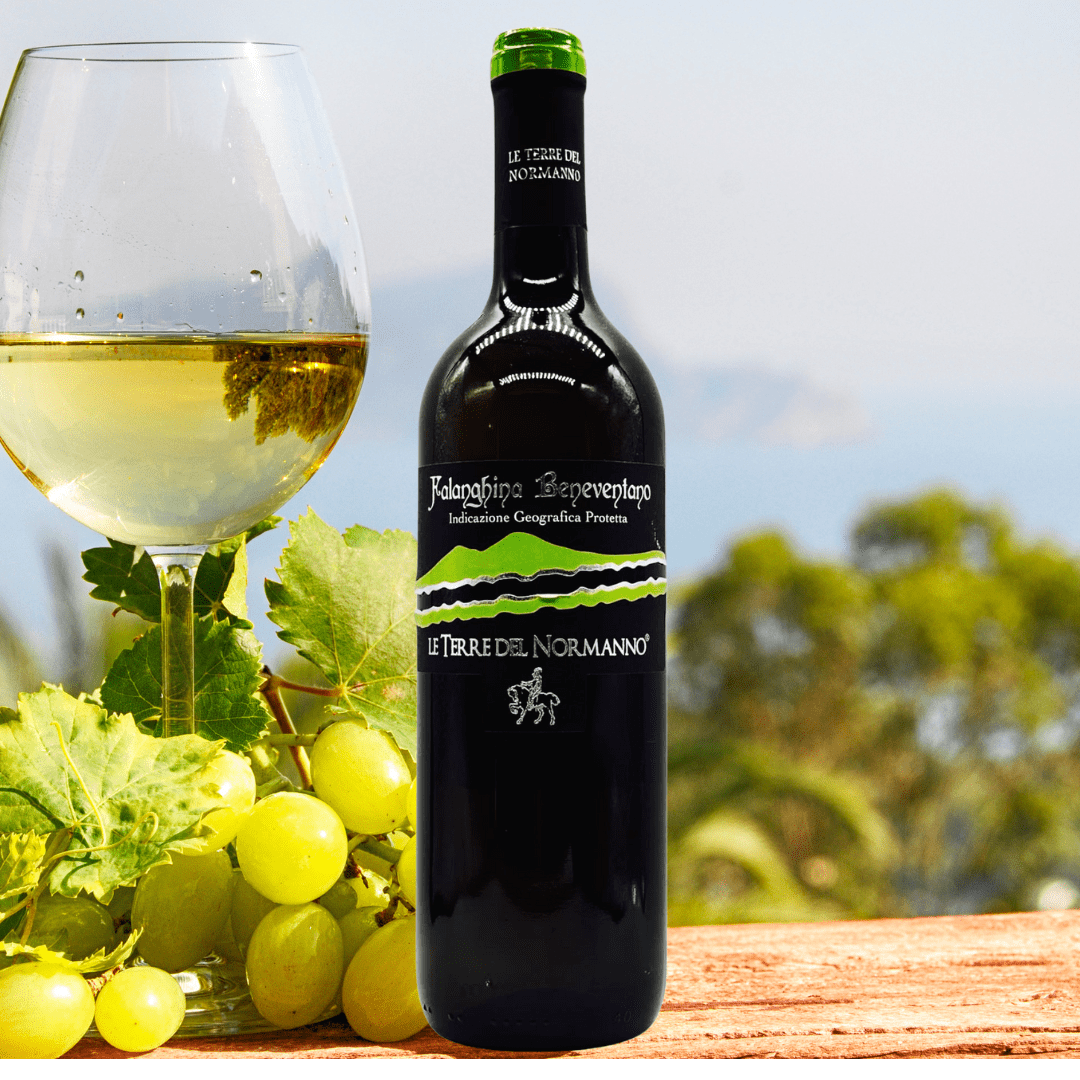 Beneventano Falanghina white wine 750 ml