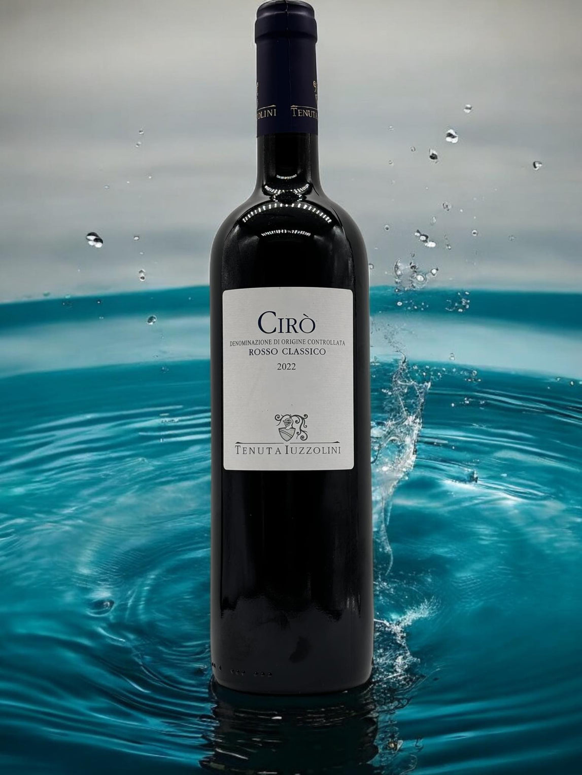 Cirò Rosso Classico 2022 – Junger und dynamischer Rotwein aus Kalabrien, 750 ml