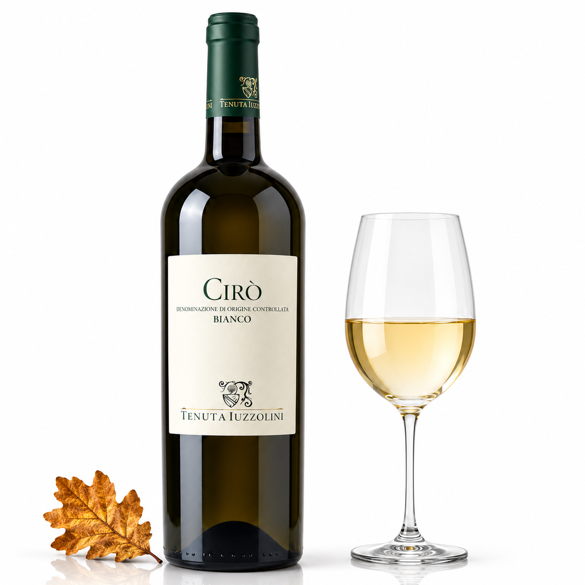Cirò Greco Bianco DOC 2023 Weißwein mit Weinglas und herbstlichem Eichenblatt