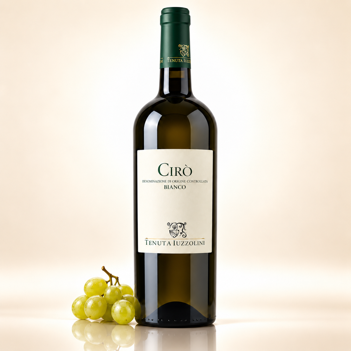 Cirò Greco Bianco DOC 2023 – 750 ml – mit weißen Trauben auf cremefarbenem Hintergrund mit Spiegelung