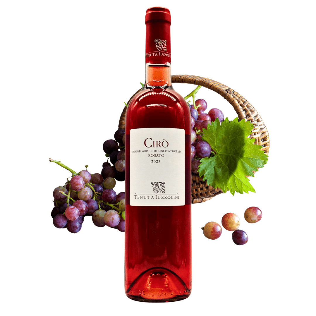 Cirò Rose 2023 – Fresh rosé wine from Calabria, 750 ml