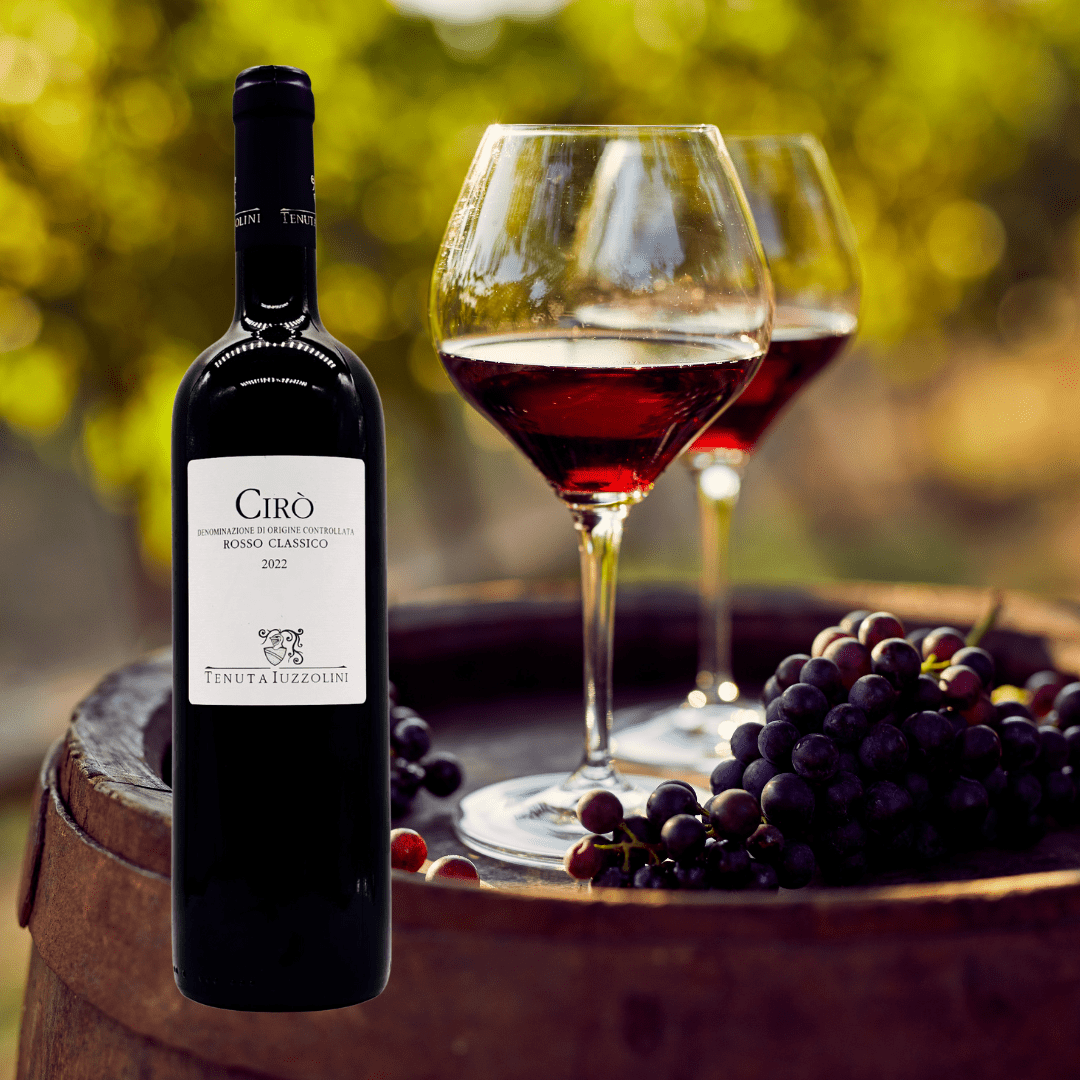 Cirò Rosso Classico 2023 – Young and dynamic red wine from Calabria, 750 ml