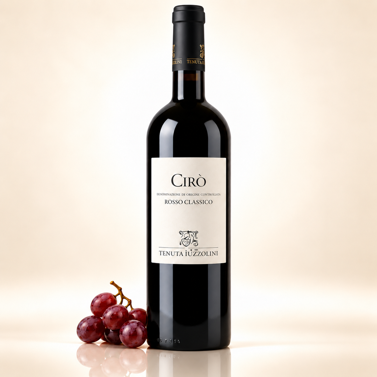 Cirò Rosso Classico 2023 – Vin rouge jeune et dynamique de Calabre, 750 ml