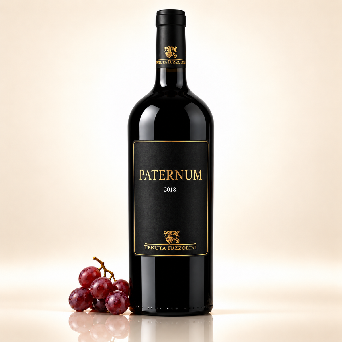 Paternum Rotwein IGT Calabria 2018 – 750 ml