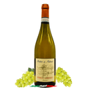 Podere dei Nidran Pinot Grigio 2023 – Eleganter Weißwein aus Venetien mit fruchtigen Zitrusaromen und feinen blumigen Noten.