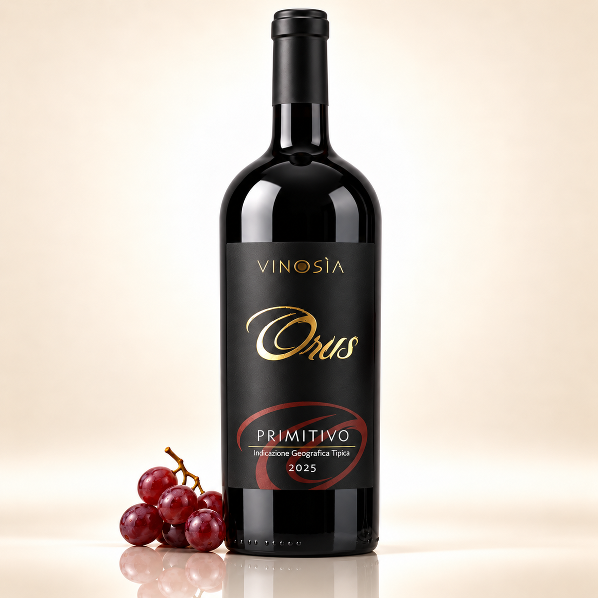 Primitivo Salento IGT 2025 Vinosia Orus – Italienischer Rotwein aus Apulien – 750 ml – mit roten Trauben auf cremefarbenem Hintergrund mit Spiegelung