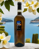 Greco di Tufo Weißweinflasche vor mediterraner Küstenlandschaft mit weißen italienischen Blumen – stimmungsvolles Hintergrundbild für italienischen Wein.